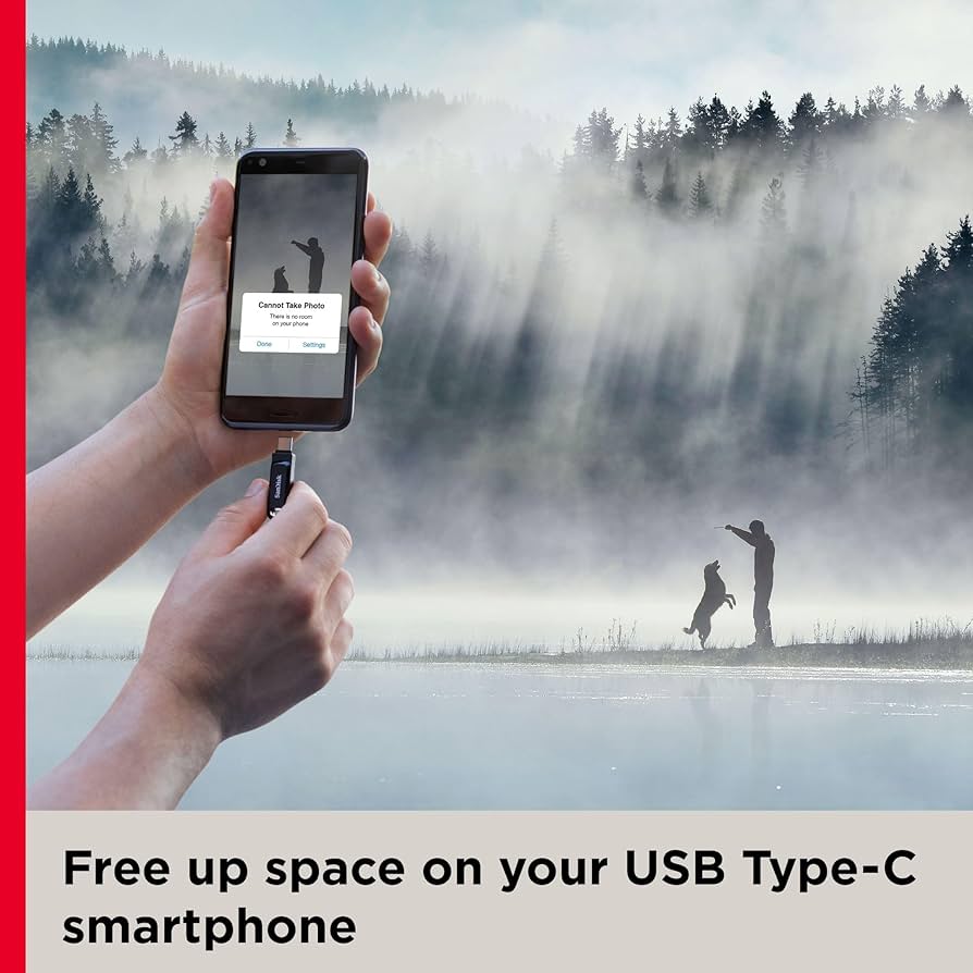 SanDisk 256GB Ultra Dual Drive Go USB Type C Flash Drive SDDDC3 256G G46, Black, Dual Drive Go USB Type C, SDDDC3 256G G46